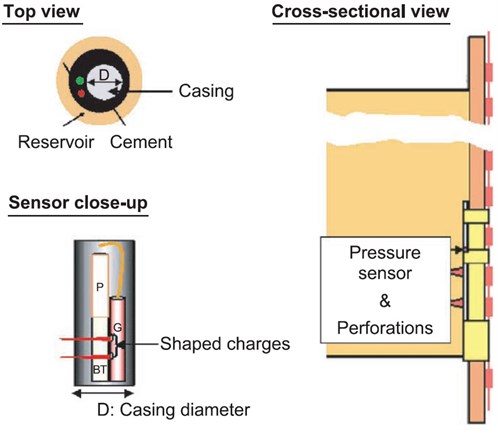 Fig. 2-14: Graphical illustration of a permanent downhole pressure gauge installation